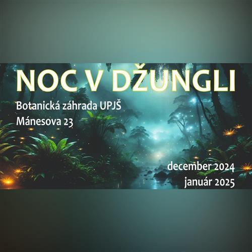 Noc v džungli