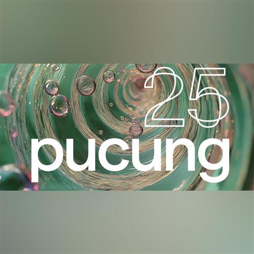 PUCUNG 2025