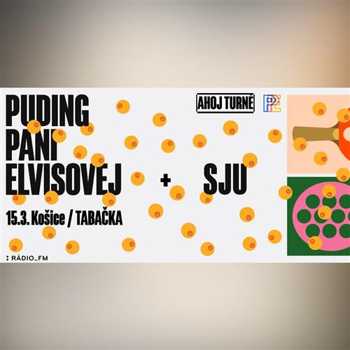 Puding pani Elvisovej & SJU (turné a krst albumu) v Košiciach!