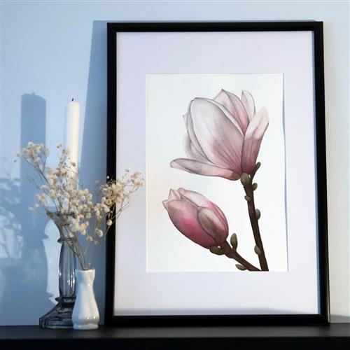 Akvarel v Botanickej záhrade - Magnólia