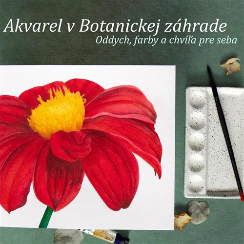 Akvarel v Botanickej záhrade - Dália